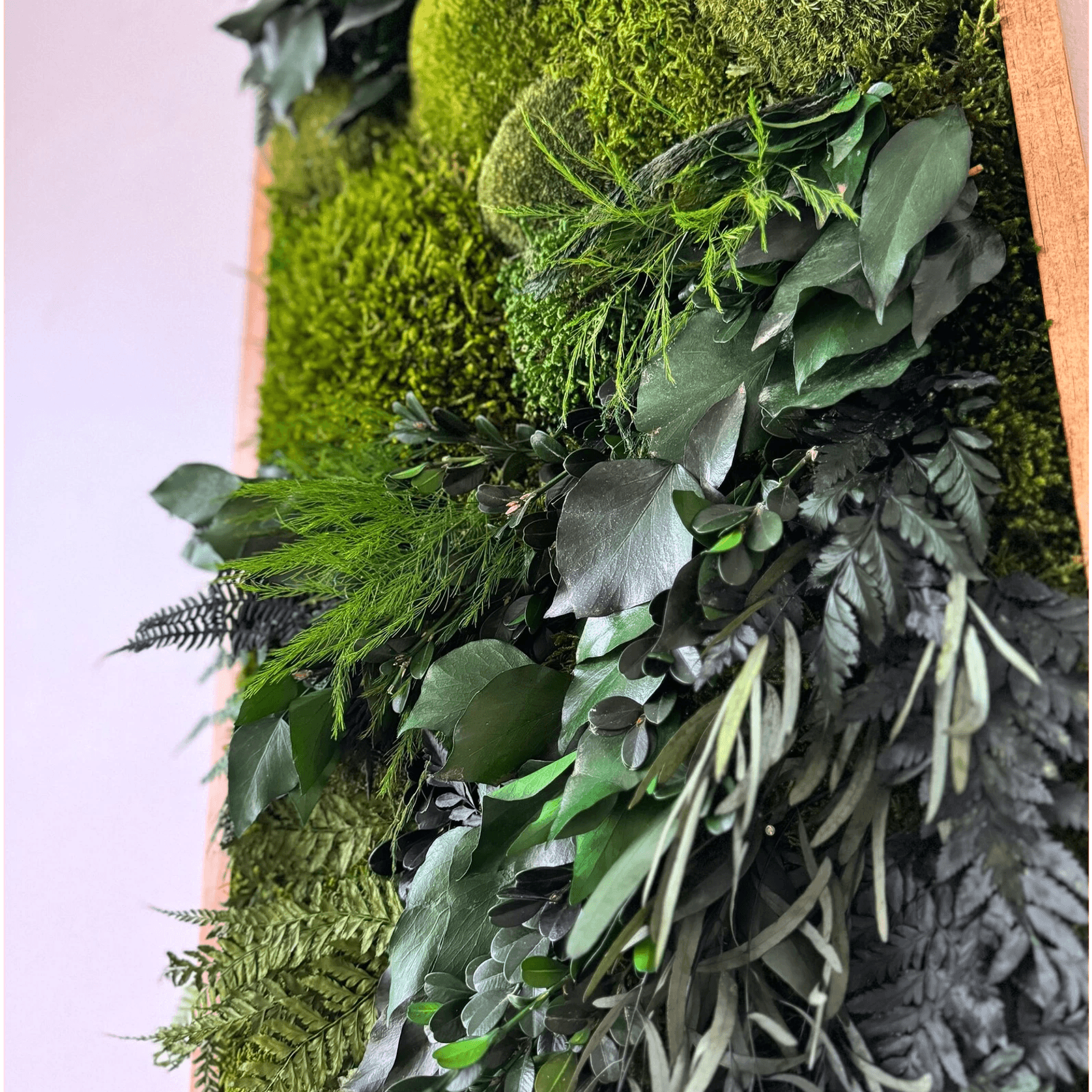 Moss Wall Art - Wild Ferns gallery detail image