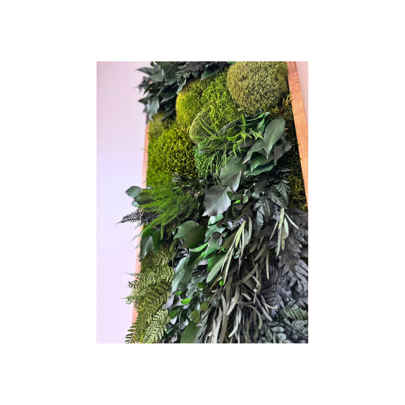 Moss Wall Art - Wild Ferns gallery detail image