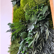 Moss Wall Art - Wild Ferns gallery detail image