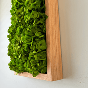 Hydrangea Wall Art - StepHorten gallery detail image