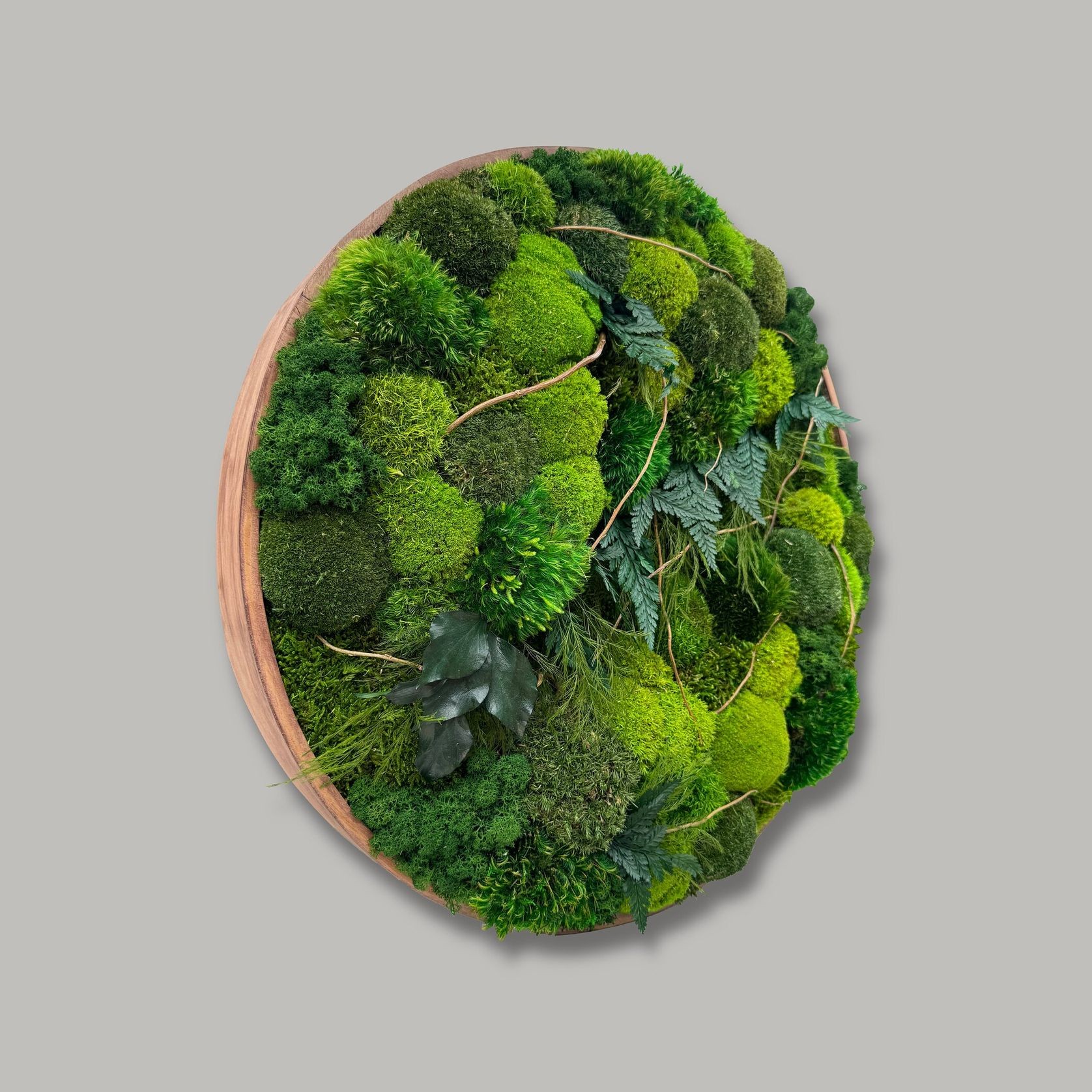 Round Moss Wall Art - Leticia gallery detail image