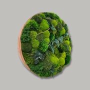 Round Moss Wall Art - Leticia gallery detail image