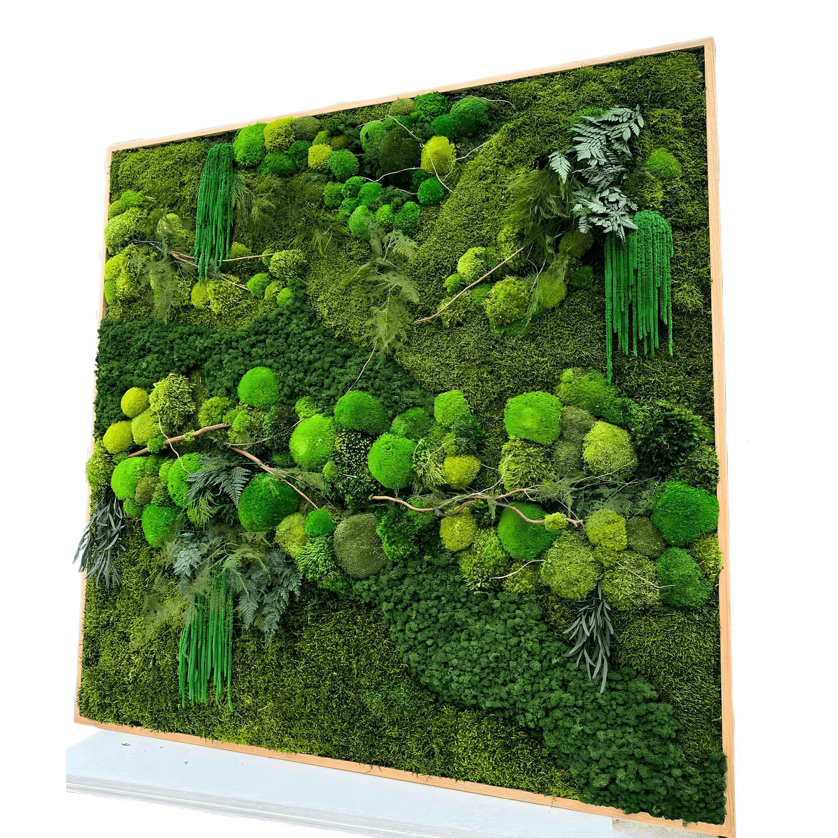 Moss Wall Art - Tumacau gallery detail image