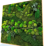 Moss Wall Art - Tumacau gallery detail image