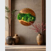 Round Moss Wall Art - Live Edge Wood gallery detail image