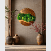 Round Moss Wall Art - Live Edge Wood gallery detail image