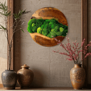 Round Moss Wall Art - Live Edge Wood gallery detail image