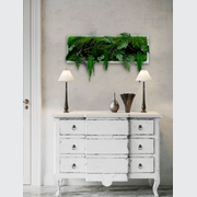 Moss Wall Art - Amaranths gallery detail image