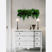 Moss Wall Art - Amaranths gallery detail image