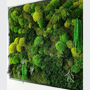 Moss Wall Art - Tumacau gallery detail image