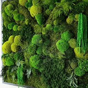 Moss Wall Art - Tumacau gallery detail image