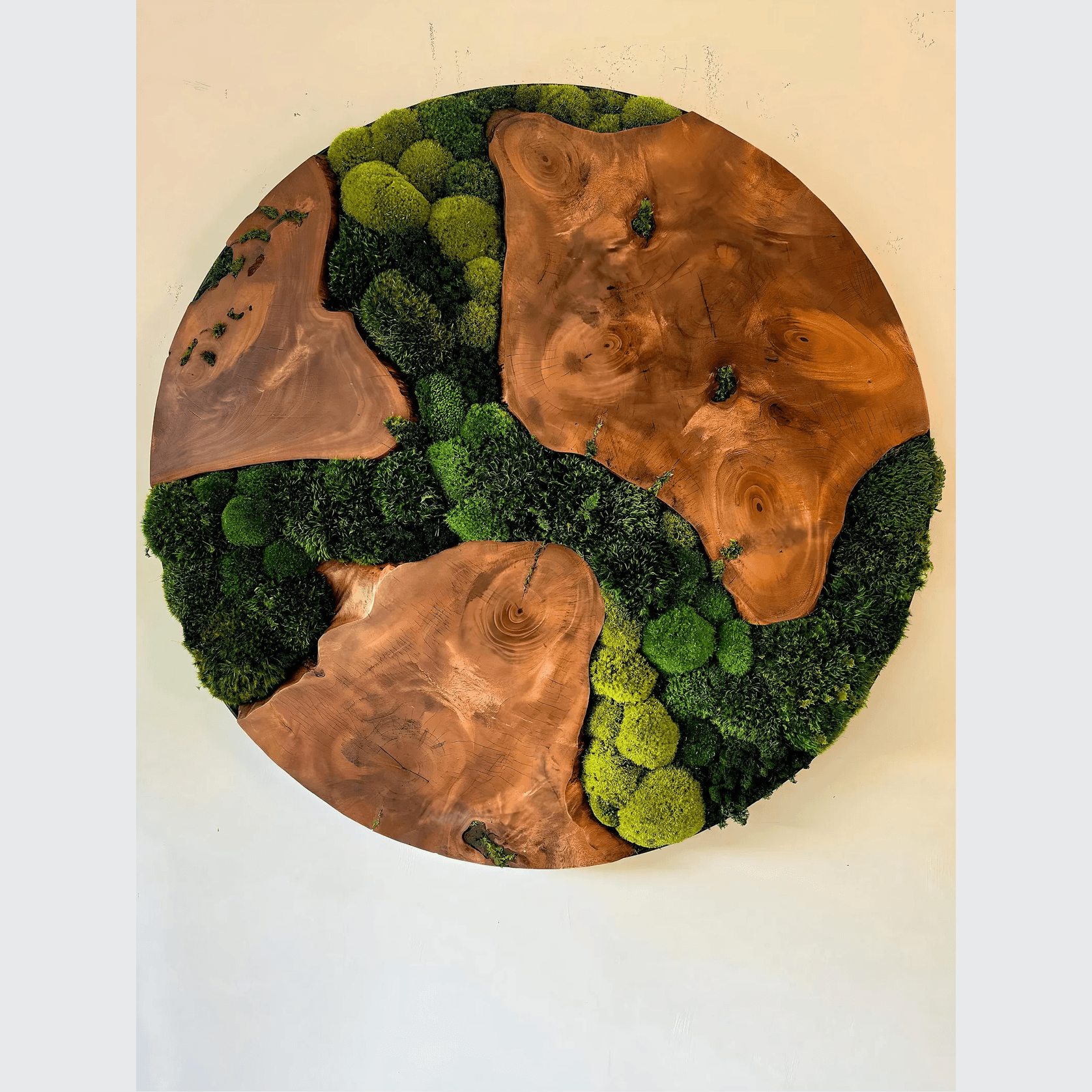 Round Moss Wall Art - Live Edge Wood gallery detail image