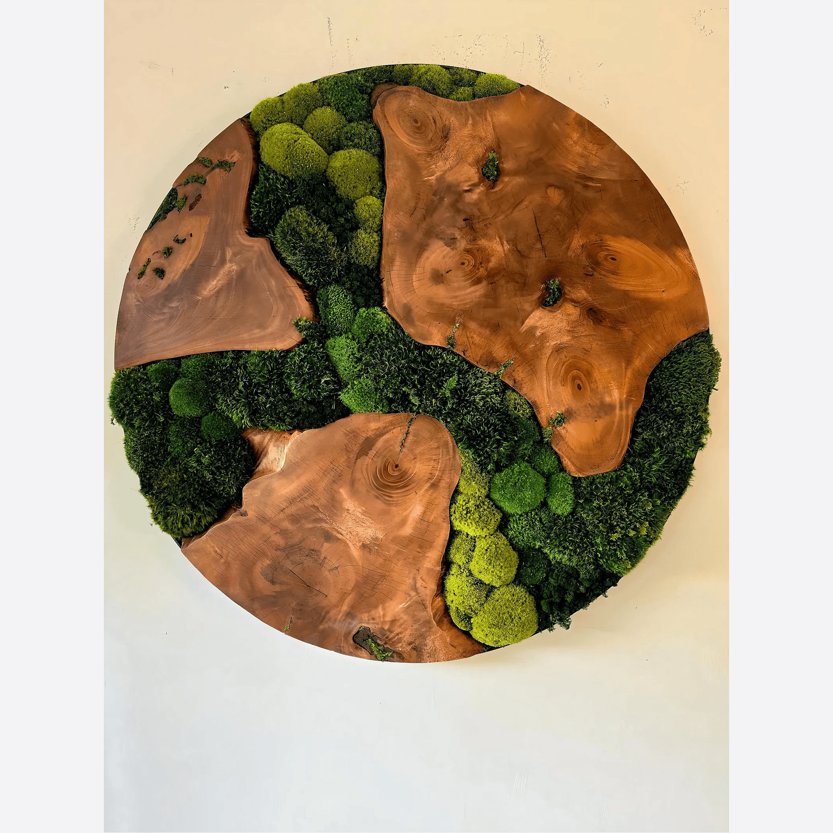 Round Moss Wall Art - Live Edge Wood gallery detail image