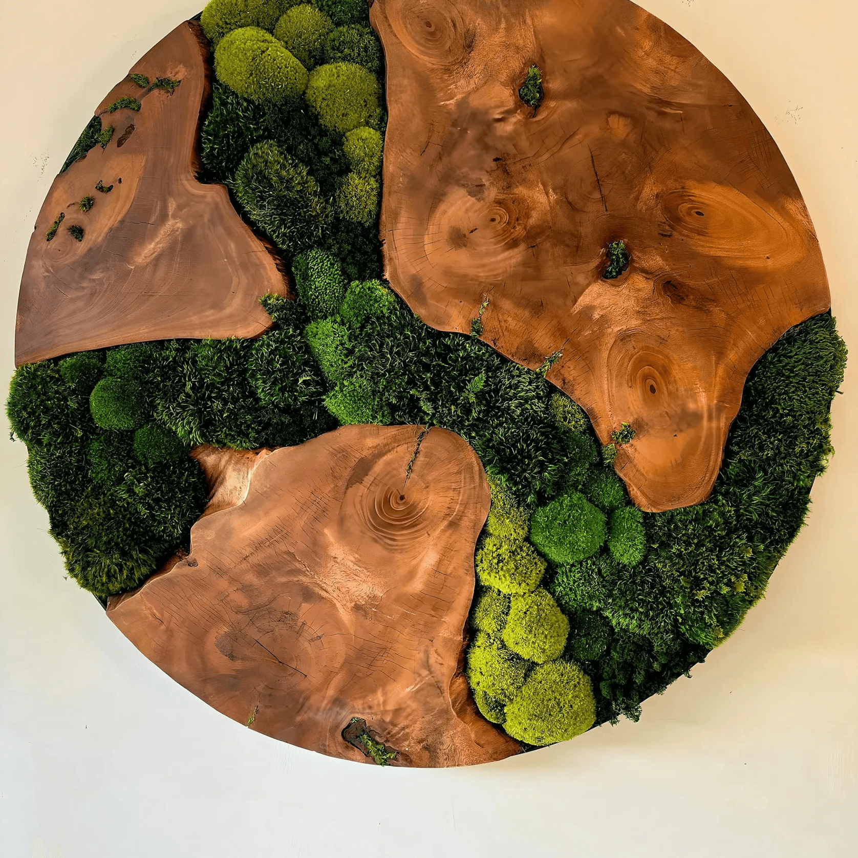 Round Moss Wall Art - Live Edge Wood gallery detail image