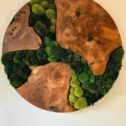 Round Moss Wall Art - Live Edge Wood gallery detail image