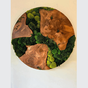 Round Moss Wall Art - Live Edge Wood gallery detail image
