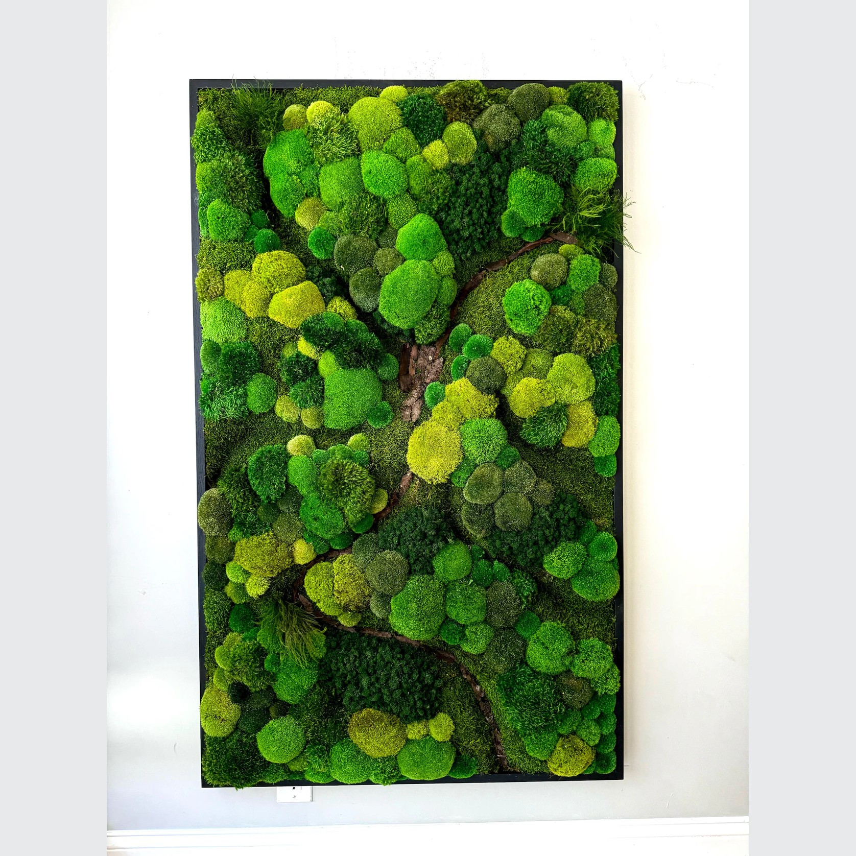 Moss Wall Art - Corteza gallery detail image