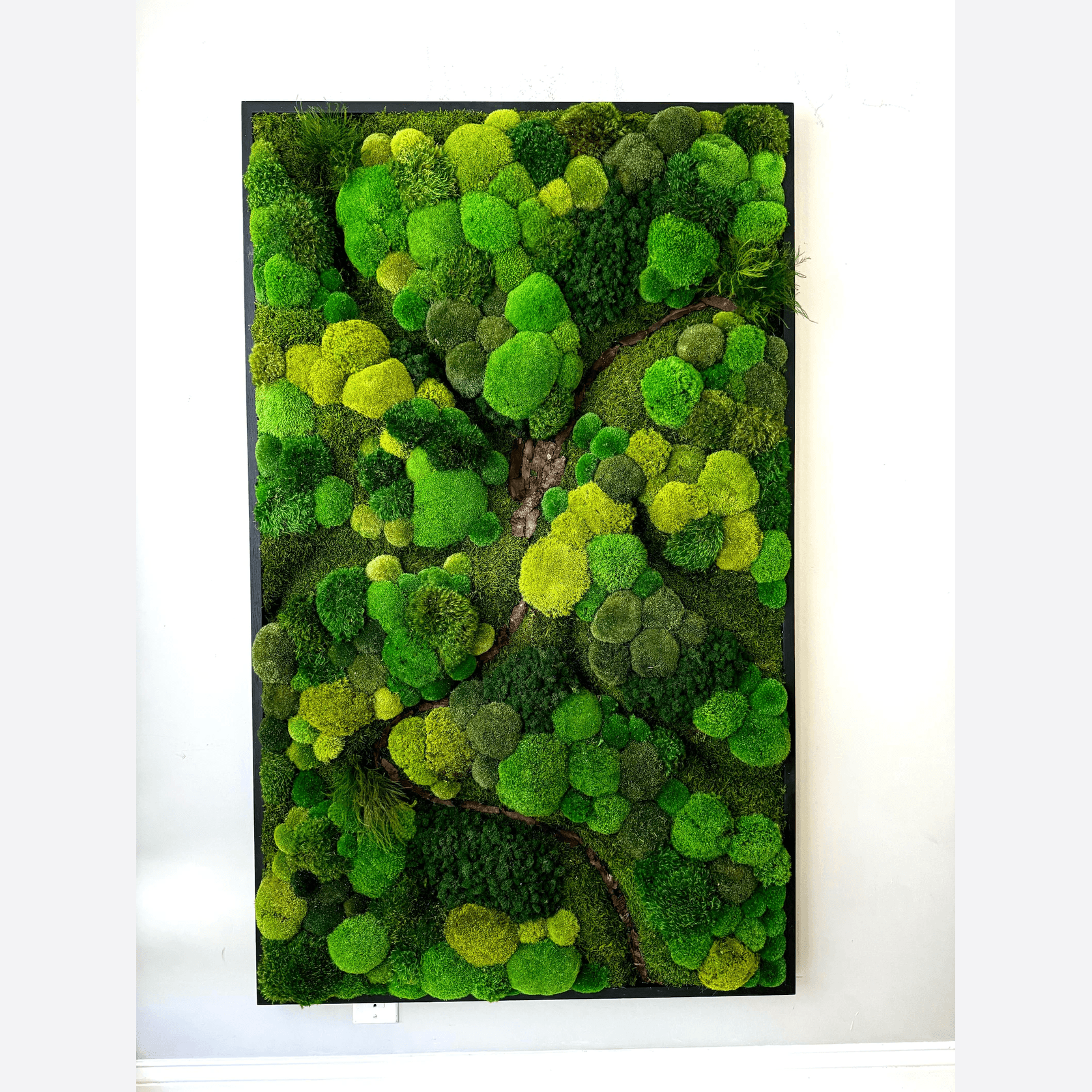 Moss Wall Art - Corteza gallery detail image