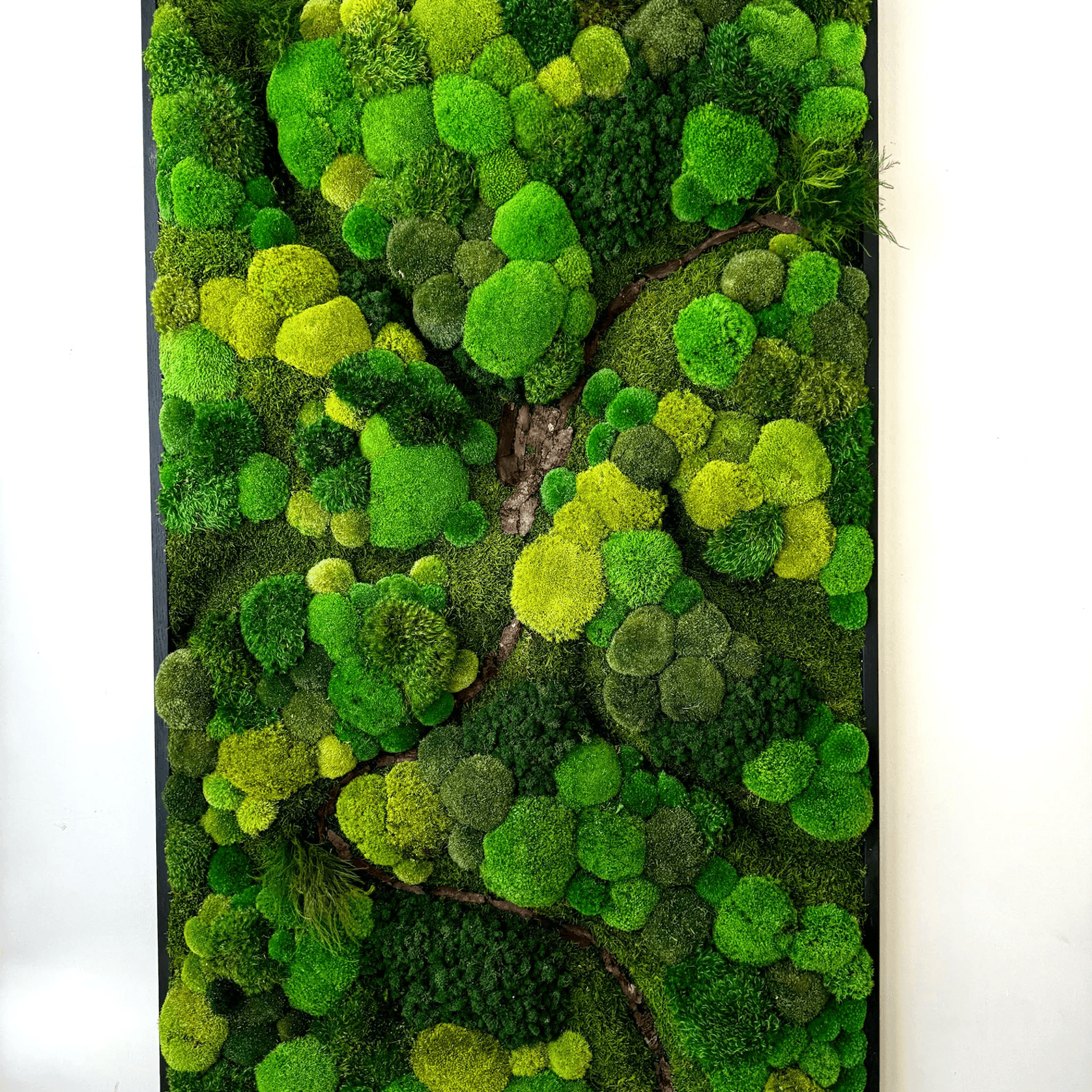 Moss Wall Art - Corteza gallery detail image