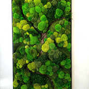Moss Wall Art - Corteza gallery detail image