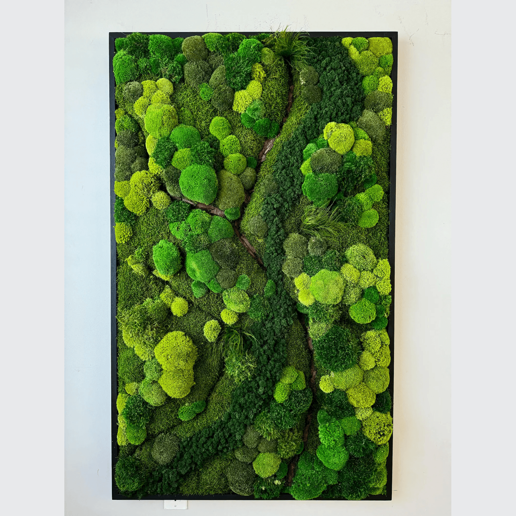 Moss Wall Art - Corteza gallery detail image