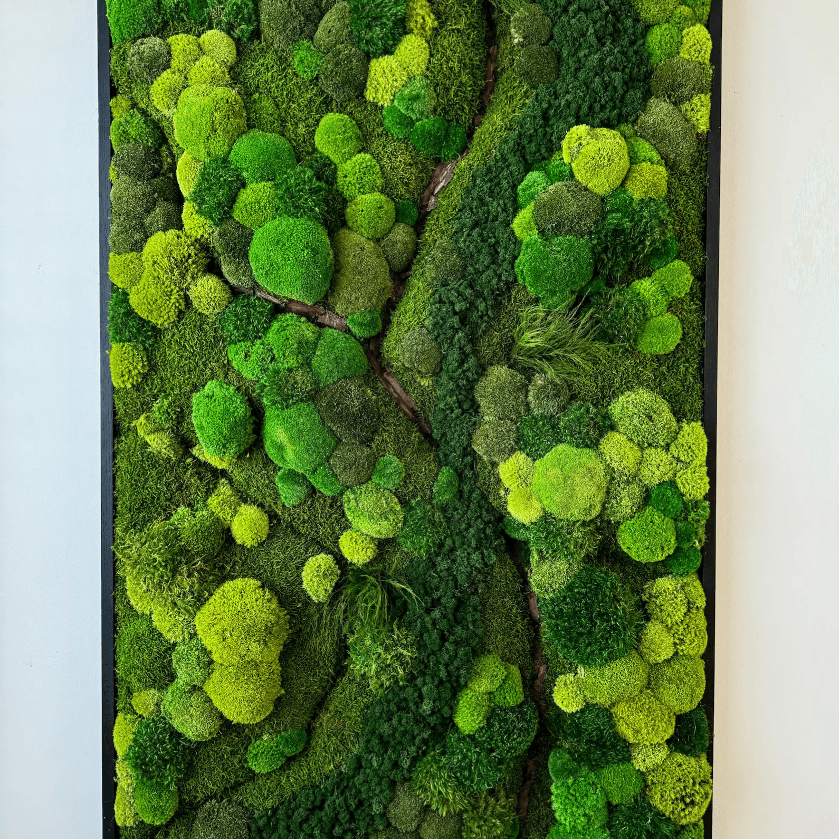 Moss Wall Art - Corteza gallery detail image