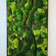 Moss Wall Art - Corteza gallery detail image