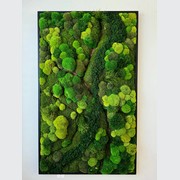 Moss Wall Art - Corteza gallery detail image
