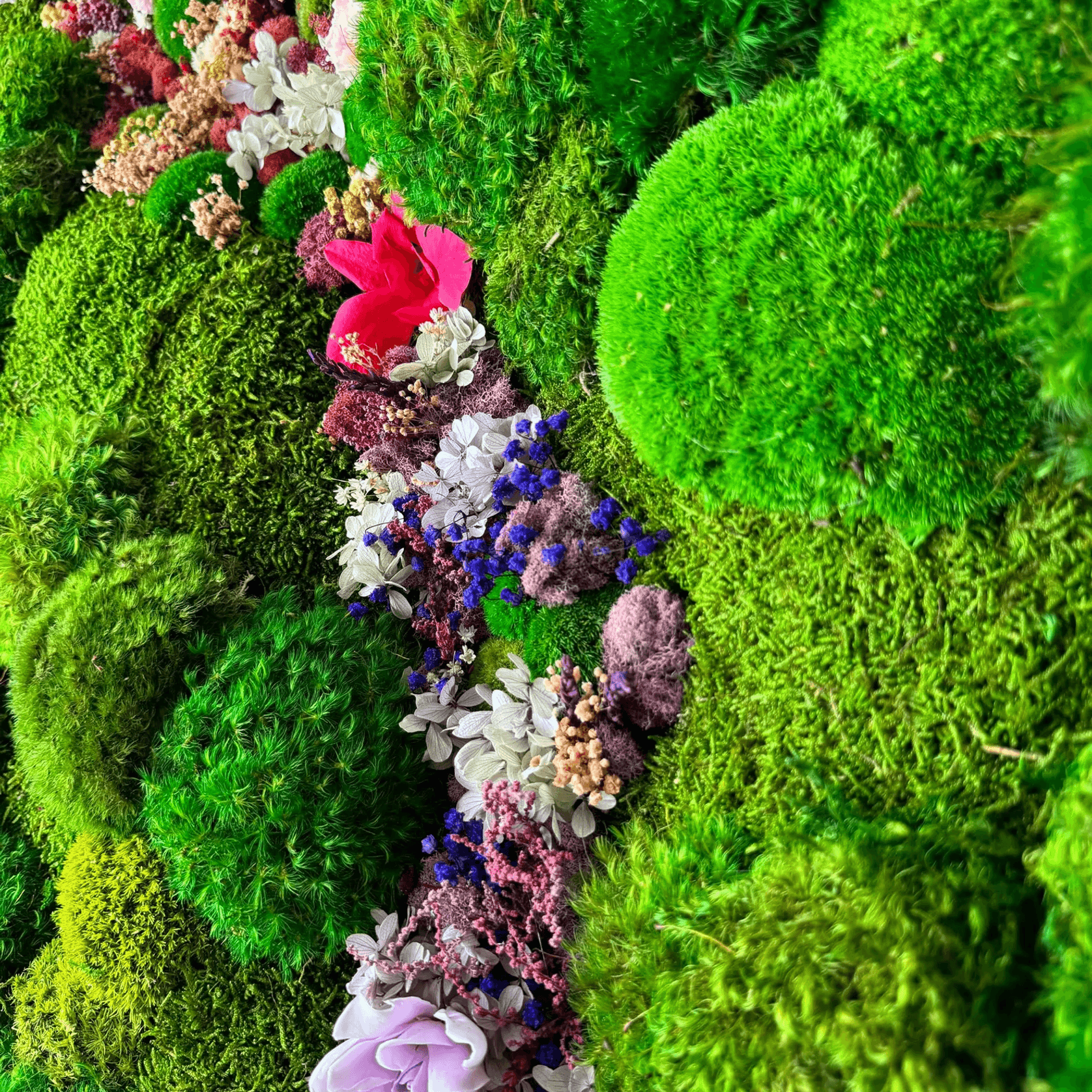 Moss Wall Art - Cascade of Flowers II gallery detail image
