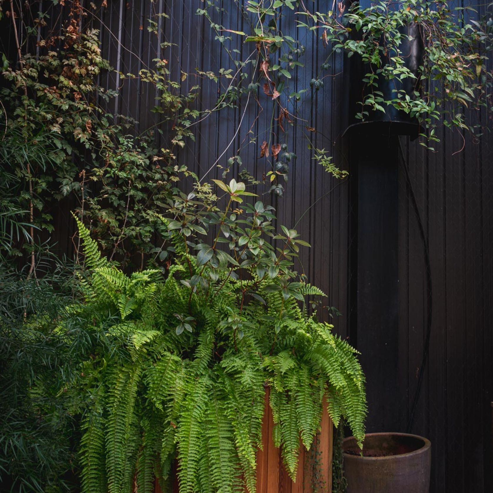 SRS Green Facades | Screens gallery detail image