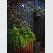 SRS Green Facades | Screens gallery detail image