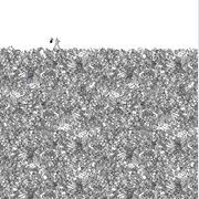 Styl'Editions Black & White Wallpaper- Il Viaggiatore gallery detail image
