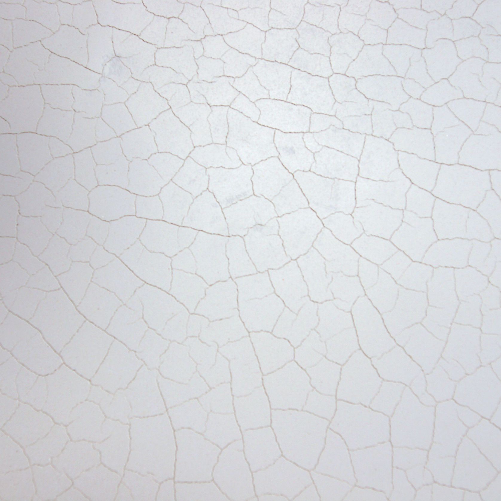 Bone China Polished Plaster gallery detail image