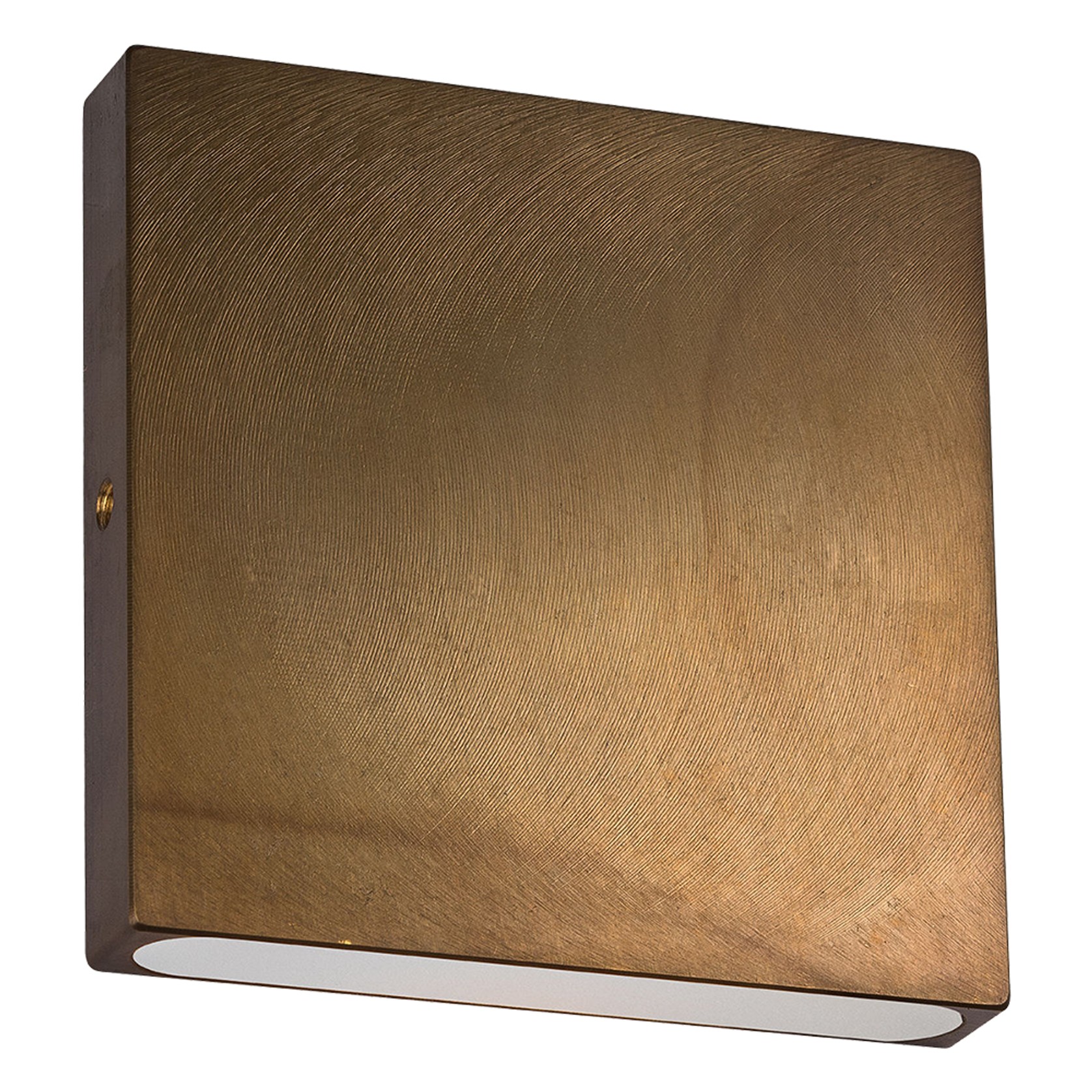 Nocturnal Dunnart Wall Light gallery detail image