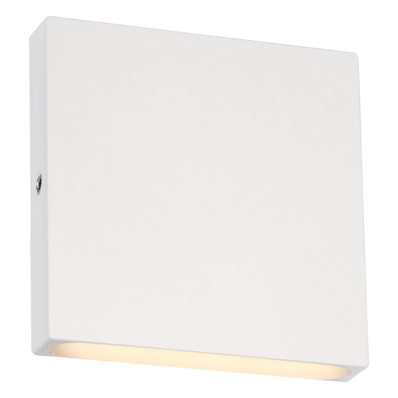 Nocturnal Dunnart Wall Light gallery detail image
