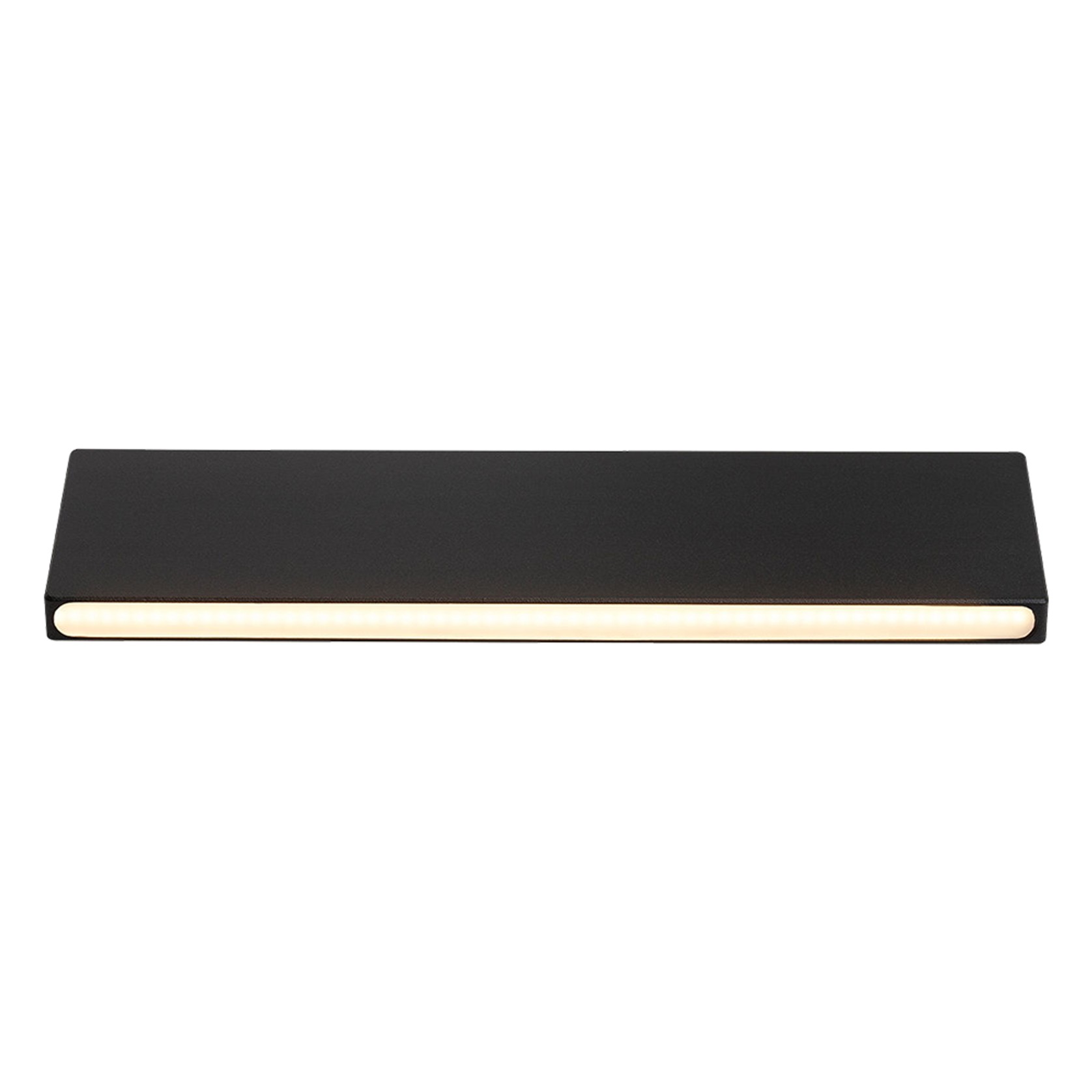 Nocturnal Dunnart Wide Wall Light gallery detail image