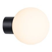 Stella Wall Light gallery detail image