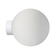 Nocturnal Stella Wall 150 Light gallery detail image