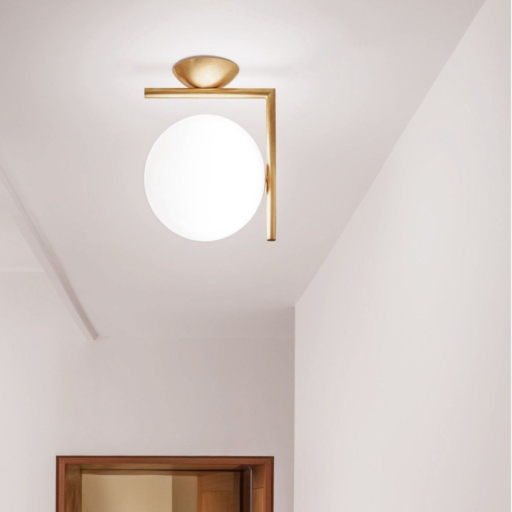 IC 1 Ceiling/Wall Mount gallery detail image