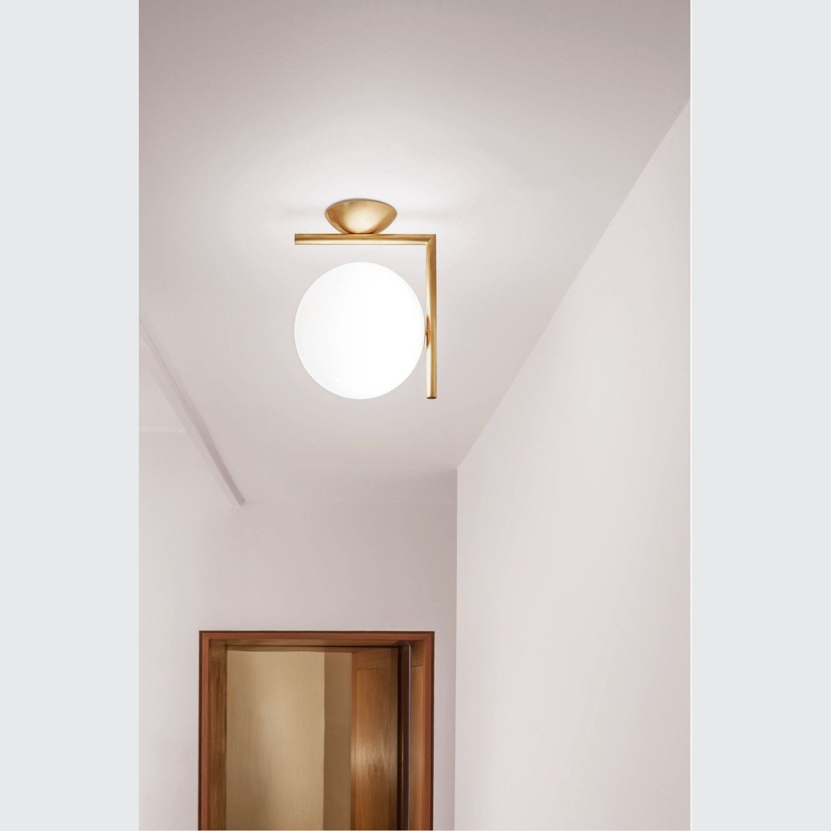IC 1 Ceiling/Wall Mount gallery detail image