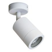 WINTON HL7354WH Outdoor Wall Light gallery detail image