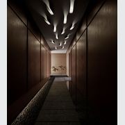 Comet Wall Light gallery detail image