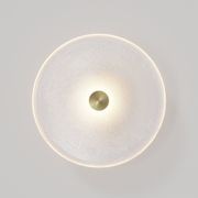 Coral Wall Light gallery detail image