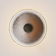 Coral Wall Light gallery detail image