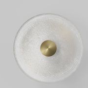 Coral Wall Light gallery detail image