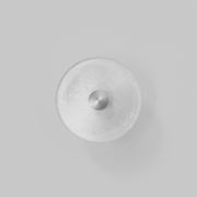 Coral Wall Light gallery detail image