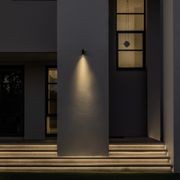 Nocturnal Firefly Fixed Down Wall Light gallery detail image