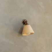 Mod wall light with knuckle gallery detail image