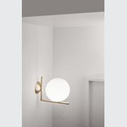 IC 1 Ceiling/Wall Mount gallery detail image