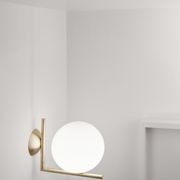 IC 1 Ceiling/Wall Mount gallery detail image
